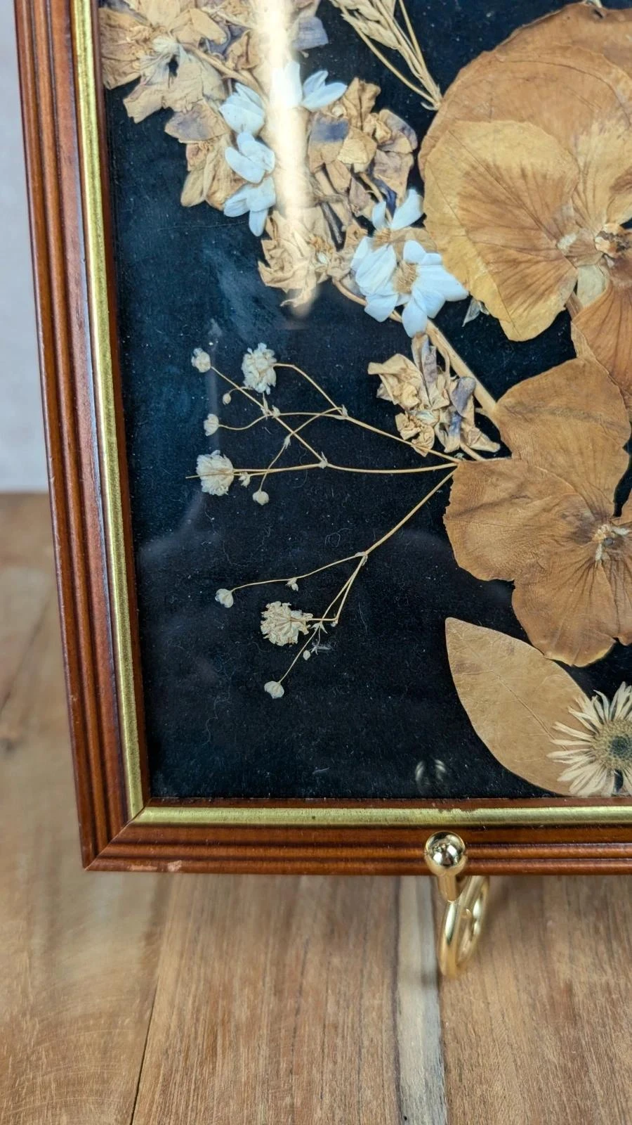 Marco vintage de flores secas bajo vidrio – photo 6